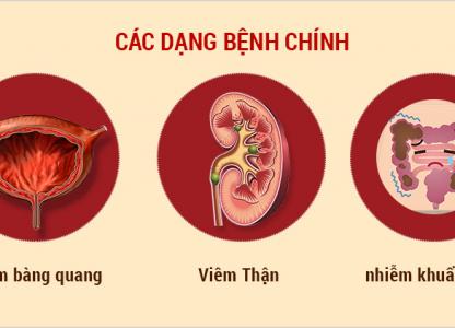 dau-hieu-nguyen-nhan-va-cach-phong-tranh-viem-duong-tiet-nieu