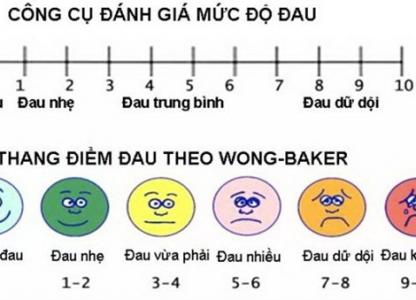 dau-tinh-hoan