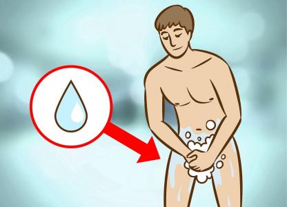nam-duong-vat-nam-candida