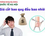 gia-cat-bao-quy-dau-bao-nhieu-chi-phi-co-dat-khong