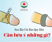 giai-dap-tong-hop-nhung-van-de-sau-khi-cat-bao-quy-dau